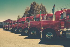Blazo Gjorev - Trucking Company