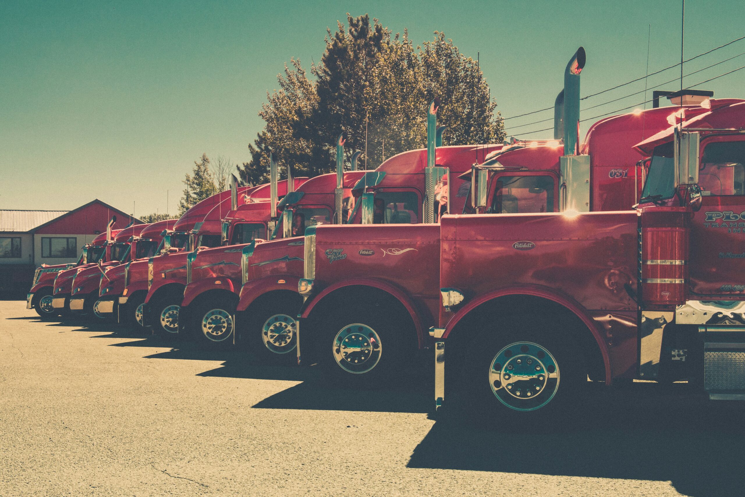 Blazo Gjorev - Trucking Company